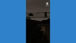 hulu